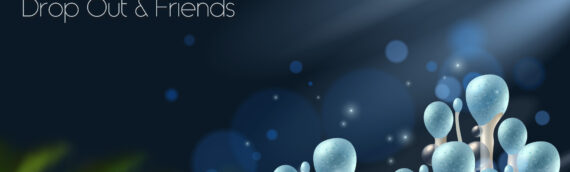 Audiomultiple NEO – Neue Show